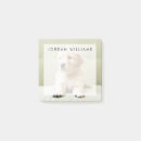 Suche nach golden retriever welpe poster Couch