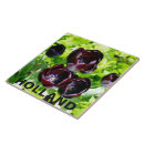 Suche nach holland fliesen Tulpe