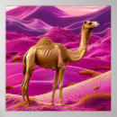 Suche nach kamel poster Reise