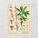 Suche nach vintage pflanzen postkarten Illustration