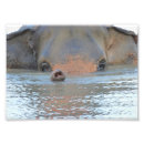 Suche nach lebendes wasser poster Natur