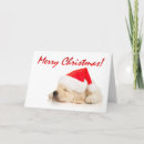 Suche nach sankt welpe karten Frohe weihnachten