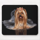 Suche nach yorkshire mousepads Yorkie
