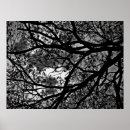 Suche nach gespenstischer baum poster Dunkel
