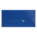 Suche nach kite poster Bunt