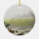 Suche nach humboldt ornamente Von