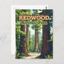 Suche nach redwood national park postkarten Sequoia