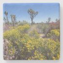 Suche nach mojave untersetzer Joshua baum nationalpark