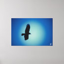 Suche nach flug leinwandbilder Blau