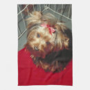 Suche nach yorkshire geschirr tücher Yorkie