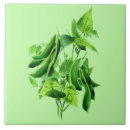 Suche nach vintage illustrationen fliesen Botanisch