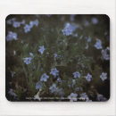 Suche nach biene mousepads Fehler