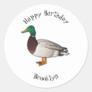 Suche nach stockente aufkleber Vogelvogel