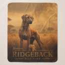 Suche nach rhodesian ridgeback decken Jagd