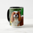 Suche nach cavalier king charles spaniel tassen Hundefreund