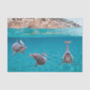 Suche nach delfin basteln party Ozean