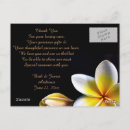 Suche nach frangipani karten Blüten
