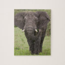 Suche nach säugetiere puzzle Kofferraum