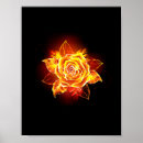 Suche nach blühende rose poster Blume