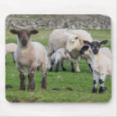 Suche nach neugier mousepads Haustier
