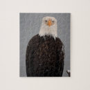 Suche nach körper puzzle Vogel
