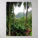 Suche nach regenwald poster Dschungel