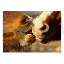 Suche nach tierliebe Bauernhof