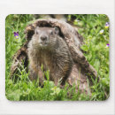Suche nach höhle mousepads Natur