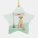 Suche nach labe ornamente Labrador retriever