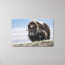Suche nach ken leinwandbilder Alaska