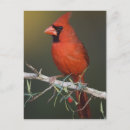 Suche nach eins postkarten Farbe