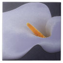 Suche nach sammelbar Blume