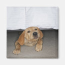 Suche nach bett magnete Zuhause