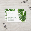 Suche nach wachstum visitenkarten Pflanze