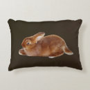 Suche nach rabbit kissen Hare
