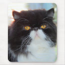Suche nach persisch mousepads Kitty