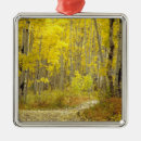 Suche nach espe ornamente Wald