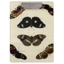 Suche nach bunt klemmbrett Schmetterling