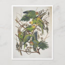 Suche nach birds of america poster Ornithologie
