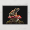 Suche nach pilz postkarten Frosch