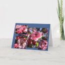 Suche nach chancen karten Natur