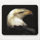 Suche nach kahl mousepads Vögel