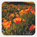 Suche nach blumenbilder aufkleber Naturfotografie