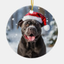 Suche nach cane corso ornamente Weihnachten