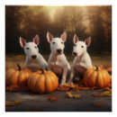 Suche nach bull terrier poster Tier