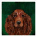 Suche nach irish setter poster Mahagonihund