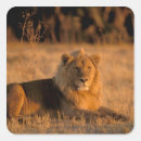 Suche nach sitz aufkleber Fauna