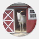 Suche nach weißes pferd magnete Bauernhof