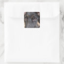 Suche nach german shepherd aufkleber Herdenhunde