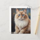 Suche nach für katzenliebhaber postkarten Cats